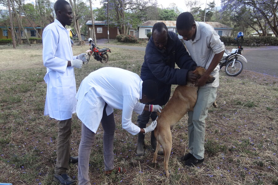 Health Care For The Health Of Animals